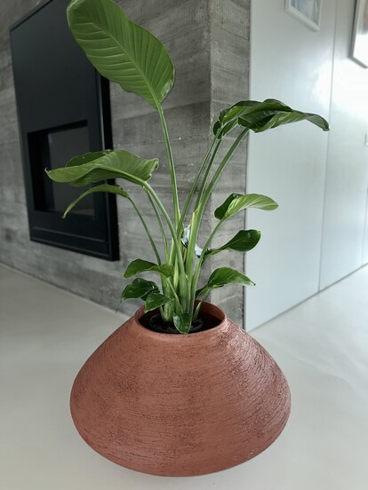 LRC Organische Vase-A-Nr-VA_001-Lagernd-01